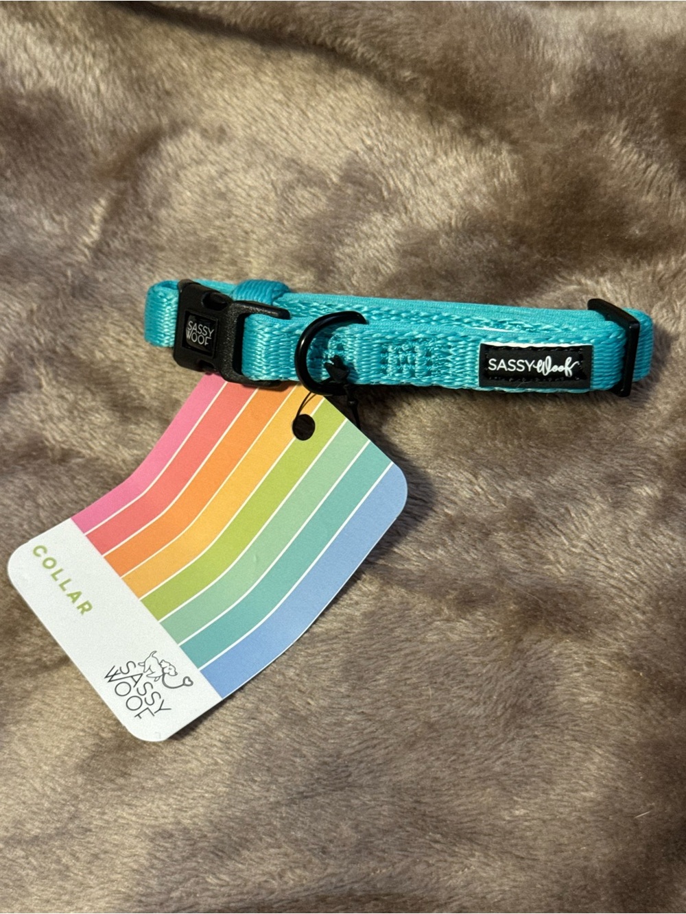 Sassy Woof Teal Small Pet Collar - Adjustable Everyday Comfort